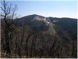 Tolsti vrh above Celjska koča